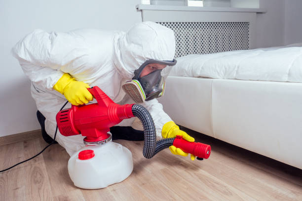 Best Pest Prevention Services  in Bowling Green, MO
